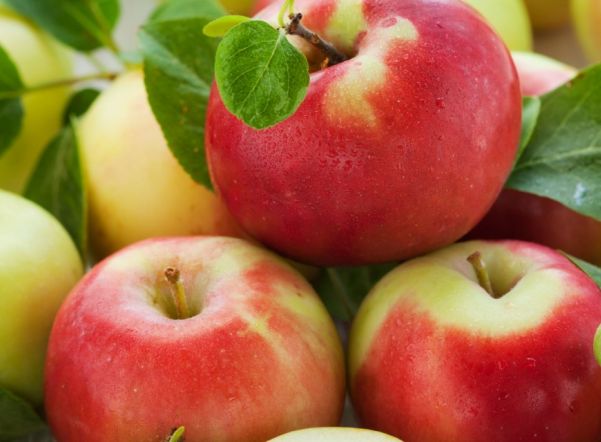 В первый день октября на Петроградке пройдет «День яблок»