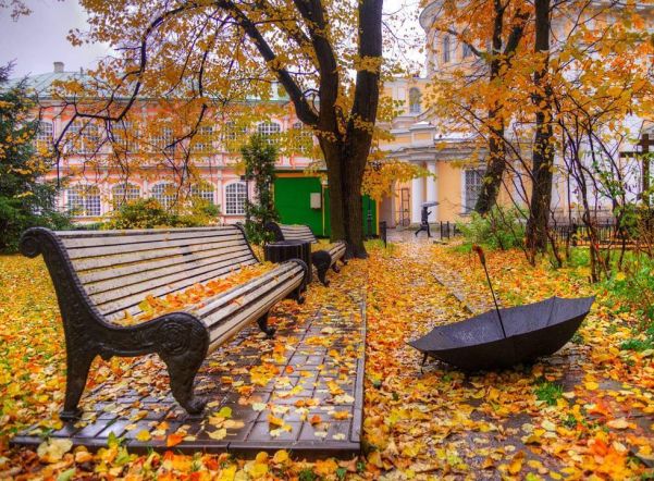 В Петербурге 20 октября днем градусник термометра опустится до +4