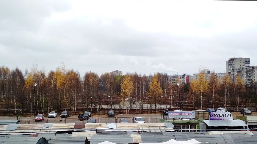 Работы в Кочуровском парке завершатся к 10 ноября