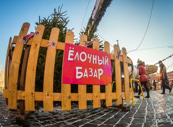 Милонов хочет запретить в России елочные базары Милонов хочет запретить в России елочные базары