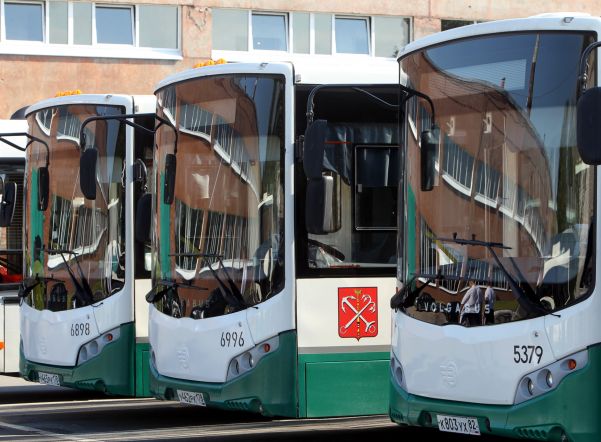 Назван самый популярный автобусный маршрут Петербурга Назван самый популярный автобусный маршрут Петербурга
