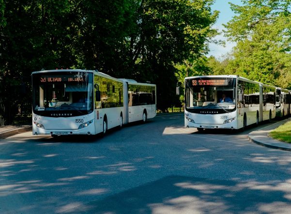 Петербургские автобусы оборудуют Wi-Fi к весне 2018 года Петербургские автобусы оборудуют Wi-Fi к весне 2018 года