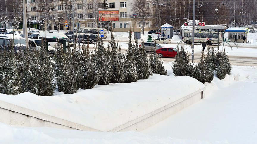Перед Новым годом в Кирове откроются 12 ёлочных базаров
